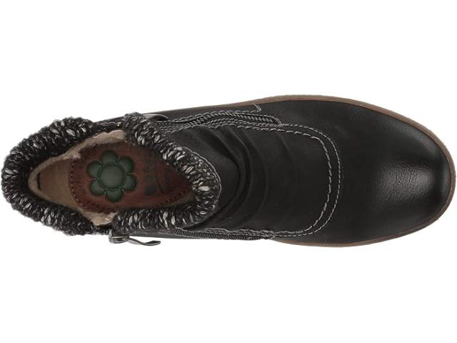 取寄) スプリング ステップ レディース クレオラ Spring Step women