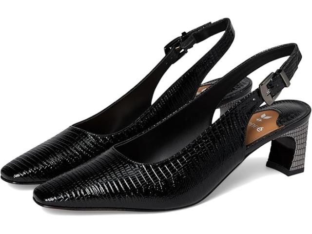 (取寄) ジェイレニー レディース ハディン J. Renee women Hadyn Black