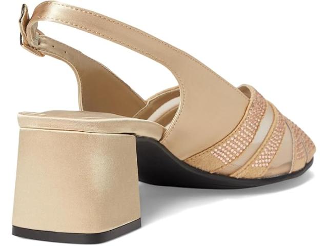 (取寄) デビッドテイト レディース デザイア David Tate women Desire Champagne