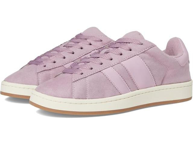 (取寄) マッデン ガール レディース ノーリー Madden Girl women Nollie Dusty Violet Multi