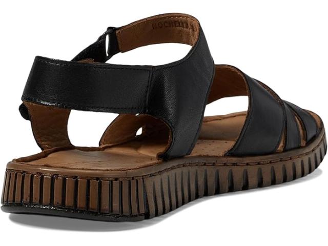 (取寄) スプリング ステップ レディース ノチェラ Spring Step women Nochella Camel 取寄) スプリング ステップ レディース ノチェラ Spring Step women