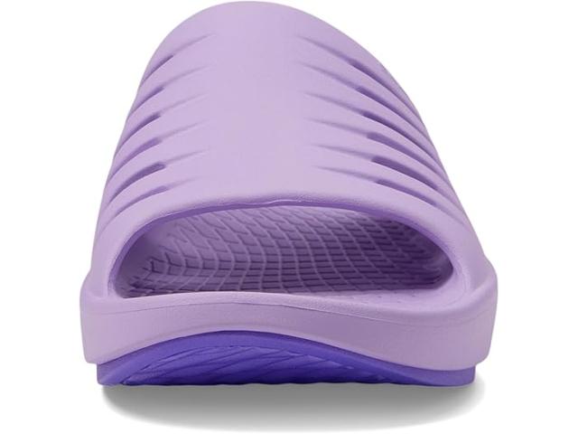 終末のハーレム 限定品 周防美来 抽選タペストリー 当選品 Amazon得報