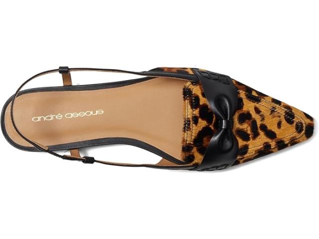 (取寄) アンドレアスース レディース ブレイク Andre Assous women Blake Leopard