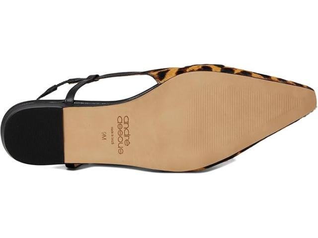 (取寄) アンドレアスース レディース ブレイク Andre Assous women Blake Leopard