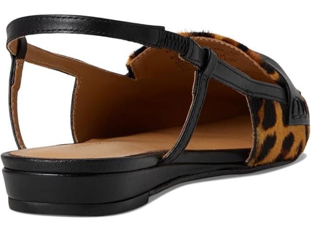 (取寄) アンドレアスース レディース ブレイク Andre Assous women Blake Leopard