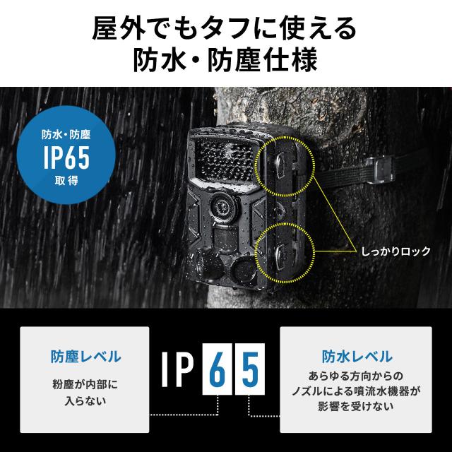 トレイルカメラ 防犯カメラ 屋外対応 フルHD 動物撮影 鳥獣対策 IP65