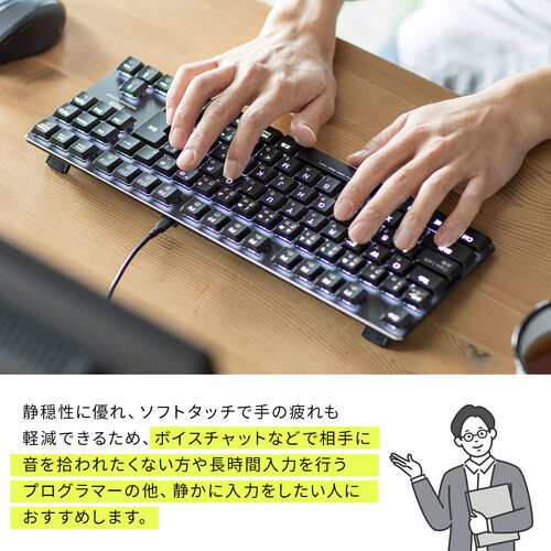 メカニカルキーボード USB接続 テンキー付き 青軸 赤軸 ロー