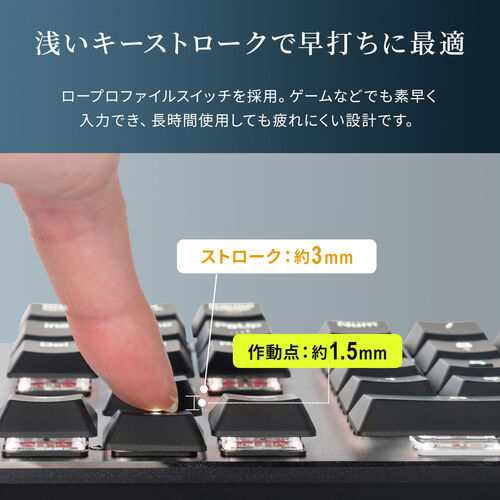 メカニカルキーボード USB接続 テンキー付き 青軸 赤軸 ロー