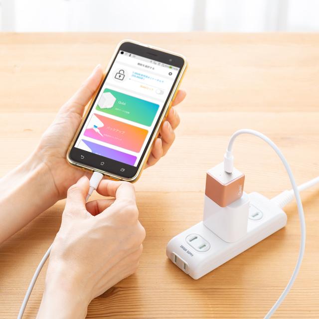 Qubii EX 512GB Type-C接続 PD60W 高速充電 iOS Android 自動バックアップ パソコン不要 容量不足解消 iPad iPhone15対応 ローズゴールド ブルー ホワイト[600-IPLBC512G]_18