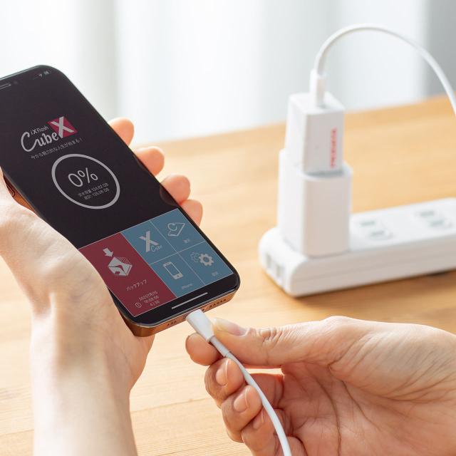 iPhone iPad USBメモリー 256GB Lightning Type-C データ転送