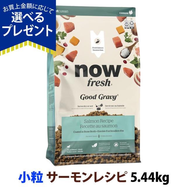 ナウ フレッシュ スモールブリードシニア2.3kg 2個セット ポイント10倍