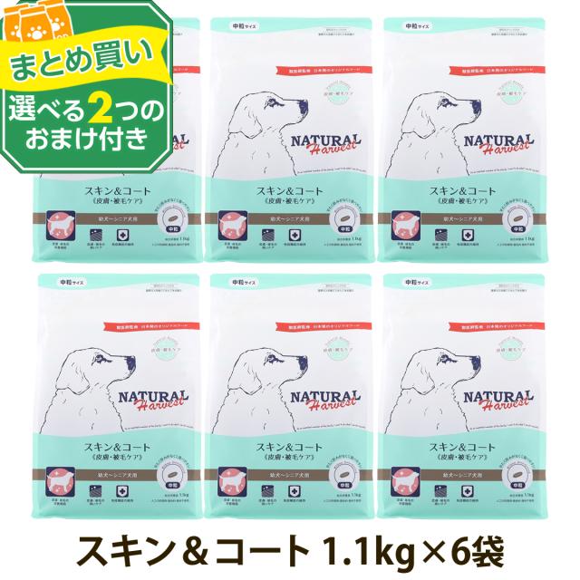 【順次パッケージ変更】【沖縄以外送料無料】(選べる2つのおまけ付き)ナチュラルハーベスト スキン＆コート 皮膚・被毛ケア 1.1kg×6袋 スキン 毛艶 ドッグフード 犬 ドック ドックフード