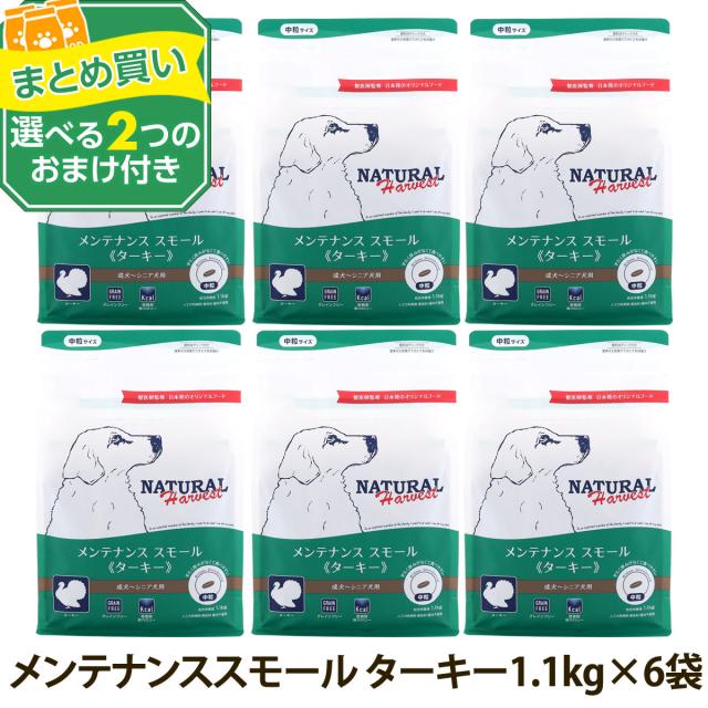 【順次パッケージ変更】【沖縄以外送料無料】(選べる2つのおまけ付き)ナチュラルハーベスト メンテナンススモール ターキー 1.1kg×6袋 中粒 ドッグフード 低脂肪 低アレルギー グレインフリー