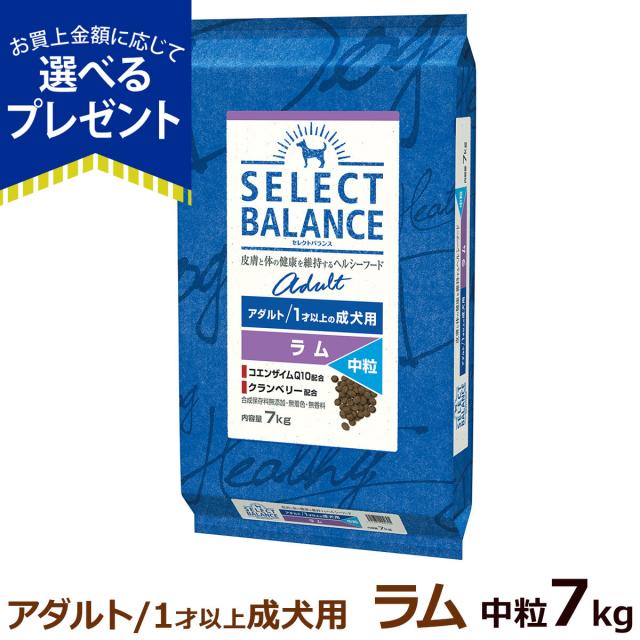 【沖縄以外送料無料】セレクトバランス アダルト ラム 中粒 7kg 成犬 羊肉 １才以上成犬 犬 ドッグフードドライ 低脂肪 ヘルシー ドック 米 腸内環境 ミルクプロテイン