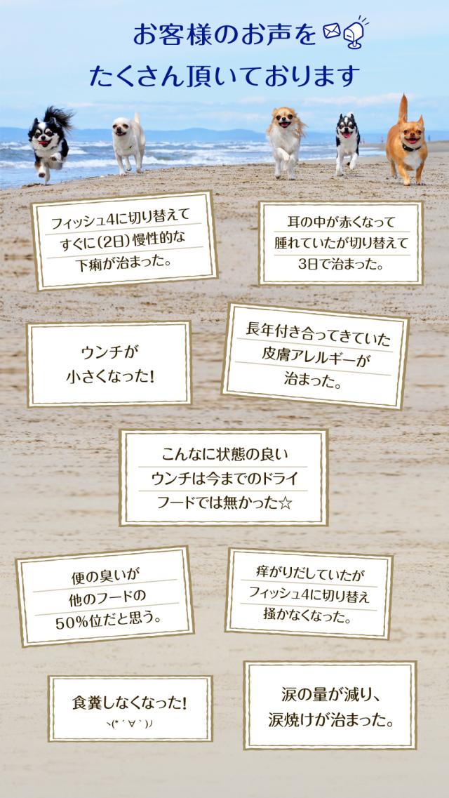 【沖縄以外貨物輸送無料】魚肉4飼い犬 ファイネスト オーシャンホワイトフィッシュ 素粒子 12kg+国産鹿レッグボーン 1本M大きさ