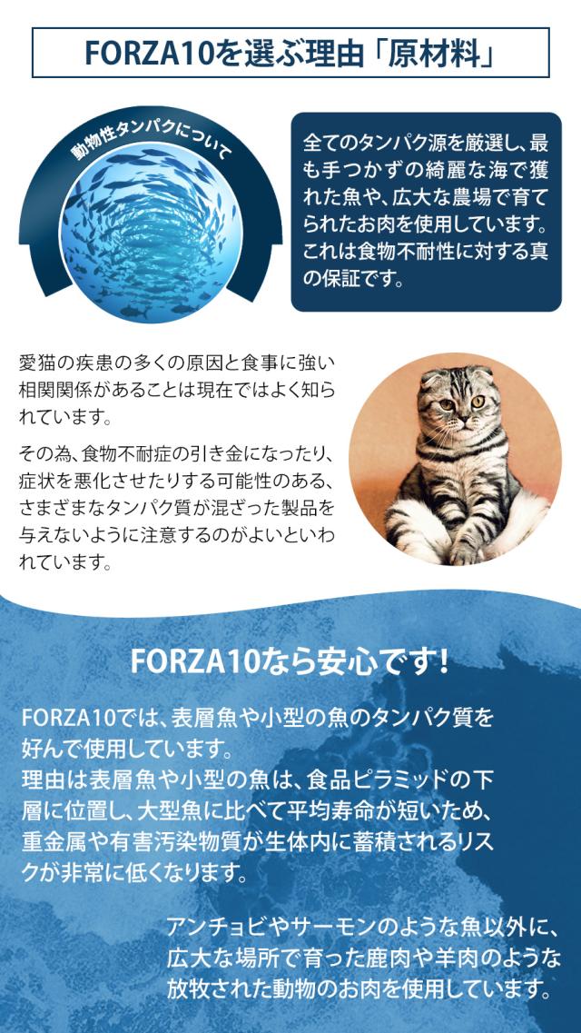 【沖縄以外送料無料】フォルツァ10 FORZA10 リナール アクティウェット キャット 100g×32個 猫 フォルツァ10 腎臓の健康維持 食事療法食 腎臓 低リン 低タンパク パテ アクティブライン アダルト 成猫 フォルツァディエチ_2