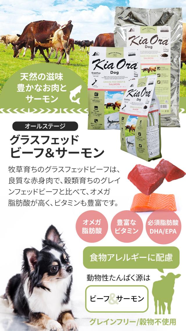 【沖縄以外送料無料】キアオラ ドッグフード グラスフェッドビーフ＆サーモン 9.5kg+わんわんウエットてぃっしゅ 3個_2