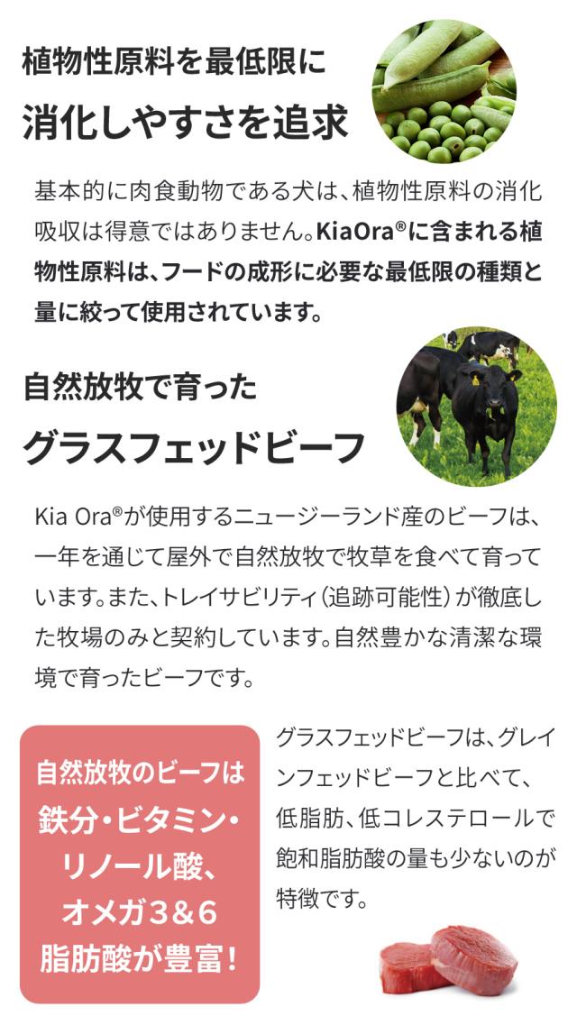 【沖縄以外送料無料】キアオラ ドッグフード グラスフェッドビーフ＆サーモン 9.5kg+わんわんウエットてぃっしゅ 3個_4