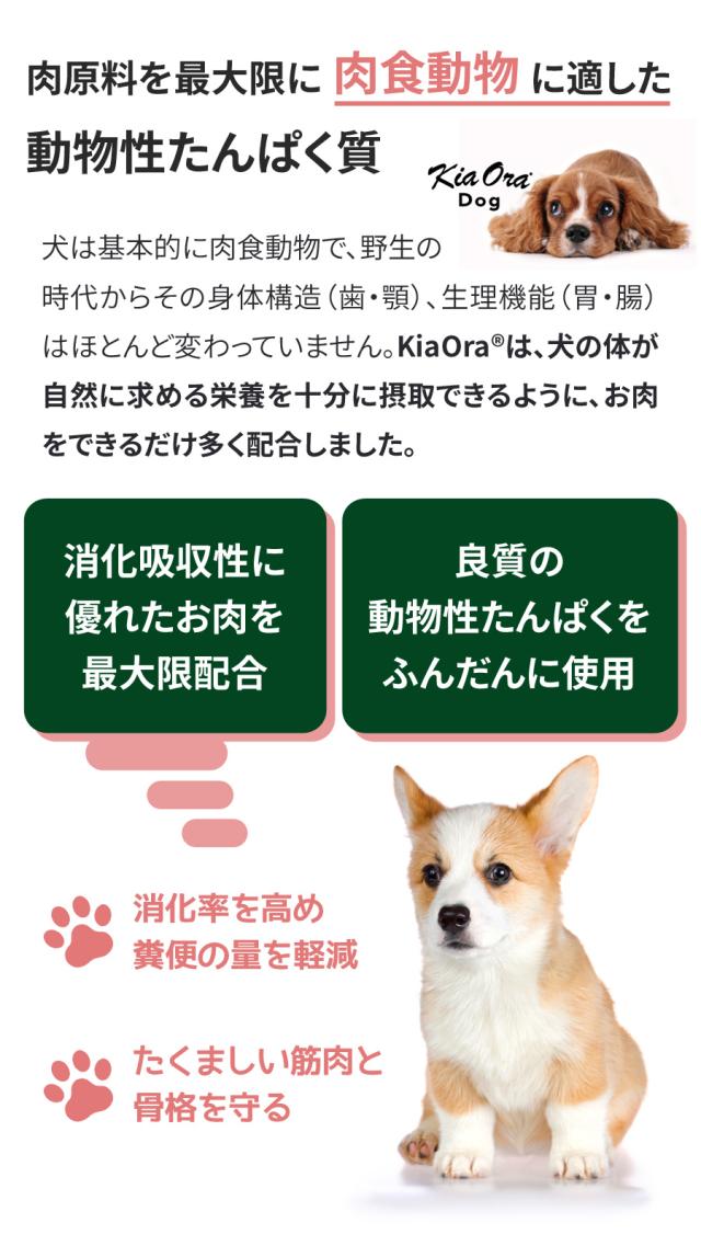 【沖縄以外送料無料】キアオラ ドッグフード グラスフェッドビーフ＆サーモン 9.5kg+わんわんウエットてぃっしゅ 3個_3
