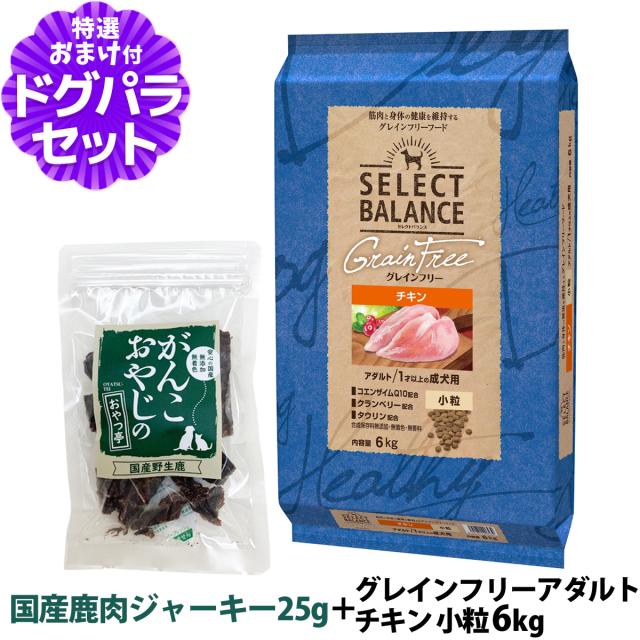 【沖縄以外送料無料】セレクトバランス グレインフリー アダルト チキン 小粒 6kg＋国産鹿肉ジャーキー20g【ドッグパラダイス限定セット】 9,636円