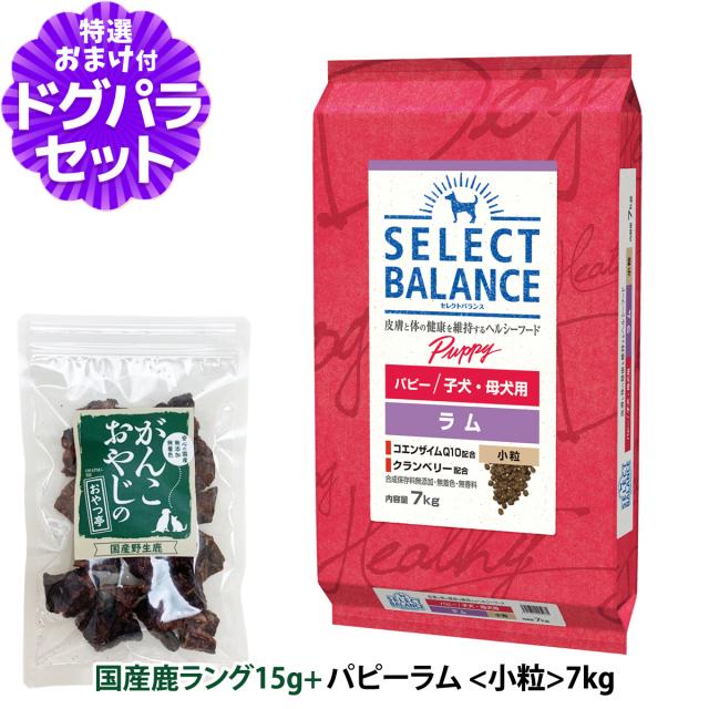 【沖縄以外送料無料】セレクトバランス ドッグフード パピーラム 小粒 7kg＋国産鹿ラング15g