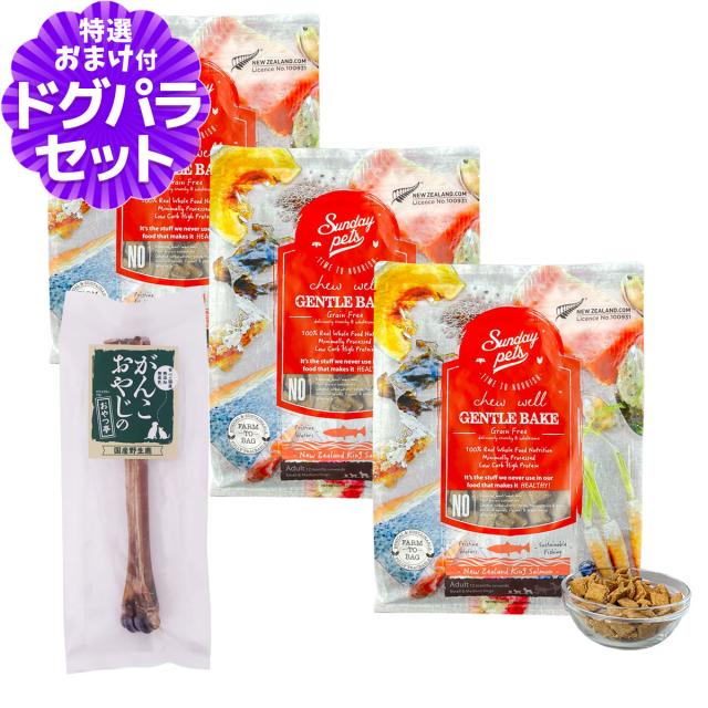 【沖縄以外送料無料】サンデーペッツ ドッグフード ジェントルベイク キングサーモン 1.3kg×3袋 +国産鹿デンタルボーン 1本入り