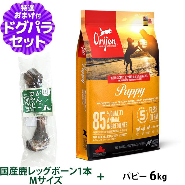 【トライアルキャンペーン中】オリジン パピー 6kg+国産鹿レッグボーン 1本Mサイズ の通販は