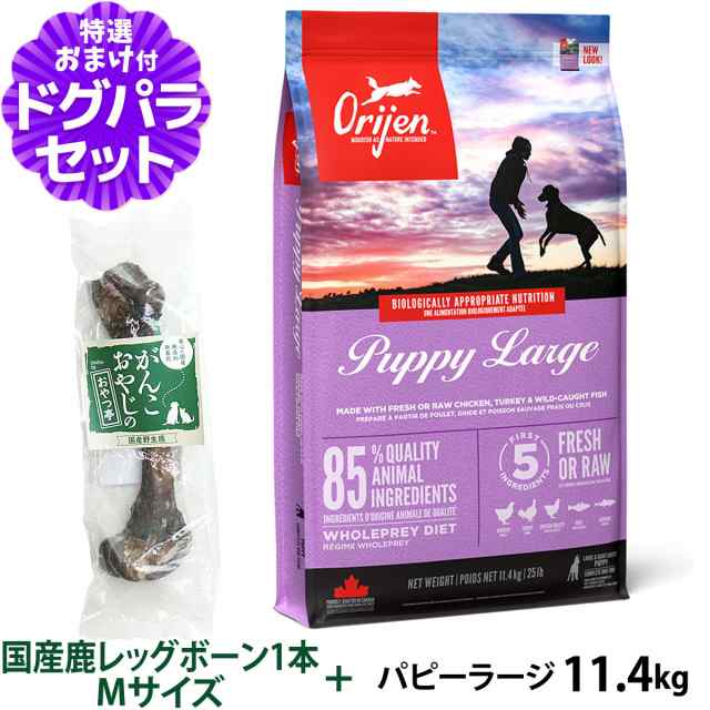 【店内全品送料無料】オリジン パピーラージ 11.4kg+国産鹿レッグボーン 1本Mサイズ 【ドッグパラダイス限定セット】