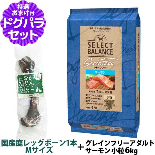 【店内全品送料無料】セレクトバランス ドッグフード グレインフリー グレインフリー アダルト サーモン 小粒 6kg+国産鹿レッグボーン 1本Mサイズ【ドッグパラダイス限定セット】の通販は
