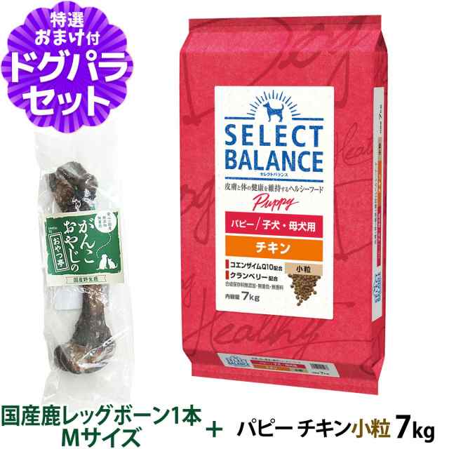 セレクトバランス ドッグフード パピーチキン 小粒7kg+国産鹿レッグボーン 1本Mサイズ