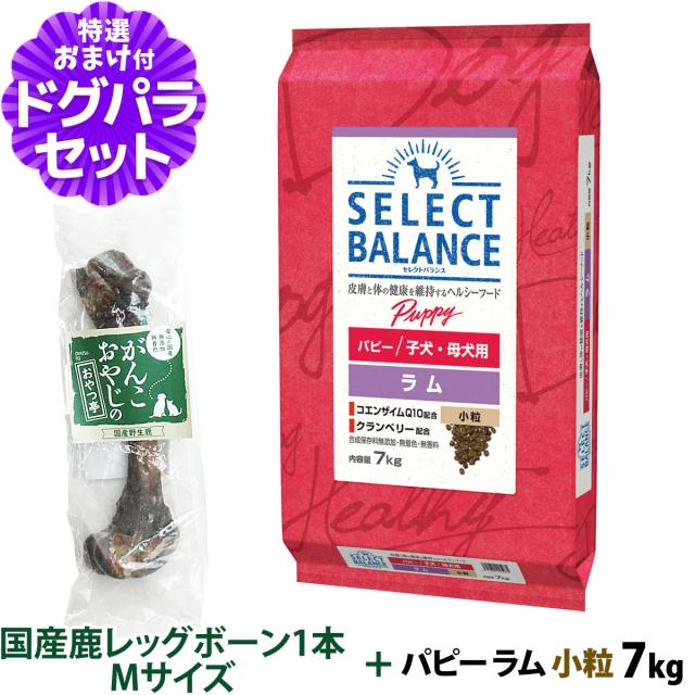 セレクトバランス ドッグフード パピーラム 小粒7kg+国産鹿レッグボーン 1本Mサイズの通販は 12,100円