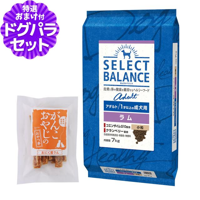 【沖縄以外送料無料】セレクトバランス ドッグフード アダルトラム 小粒7kg+国産たじま鶏ジャーキー20g