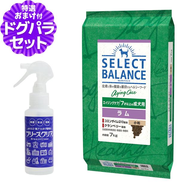 保温食器 煮物椀 身と蓋20セット 三信化工株式会社製 【公式通販】