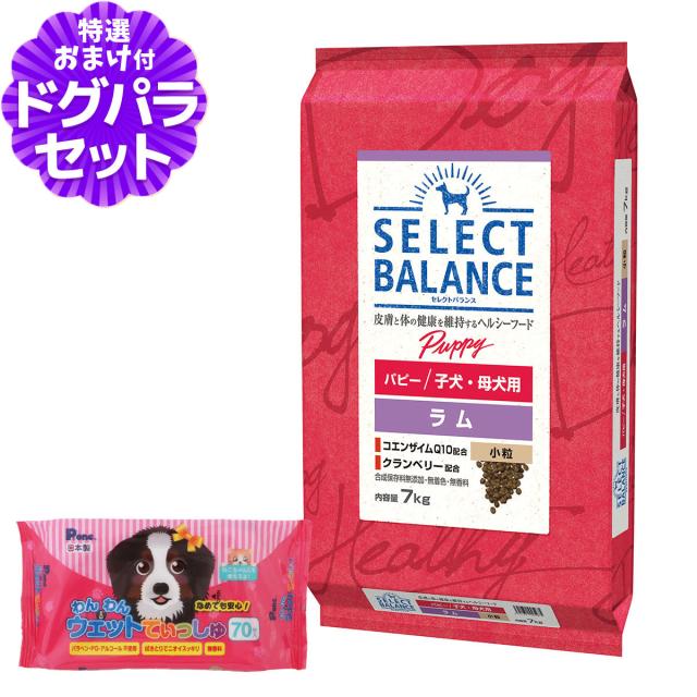 ドッグフード CHAEYOUNG セレクトバランスパピーラム 18.14キロ ベッツ・チョイス・ジャパン