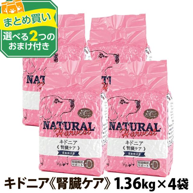 FORZA10 フォルツァ デイリーフォルツァ ミニフィッシュ 8kg