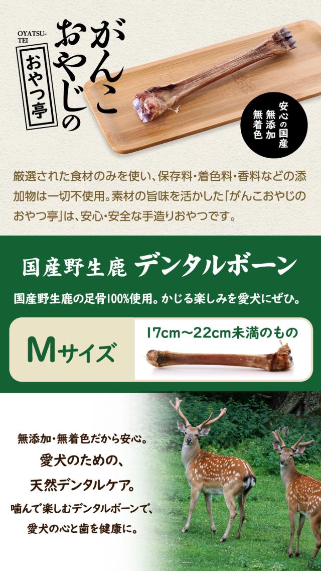 【メーカー出荷賞味期限2026年8月16日】【沖縄以外送料無料】ロットプレミア チキン＆アガリクス 成犬用 小粒 4kg+国産鹿デンタルボーン 1本入り_1