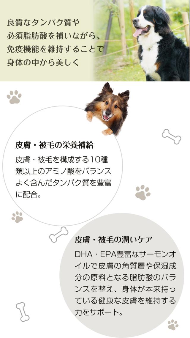 【順次パッケージ変更】【沖縄以外送料無料】ナチュラルハーベスト スキン＆コート 皮膚・被毛ケア 6kg＋国産鹿のスペアリブ ショートカット 2本入り_3