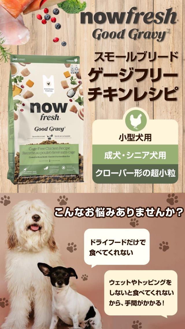 【沖縄以外送料無料】ナウフレッシュ グッドグレービー スモールブリード ゲージフリーチキンレシピ 2.3kg 小粒 NOW FRESH 犬 ドッグフード ドック ドライ 成犬 シニア犬 チキン 小型犬_1