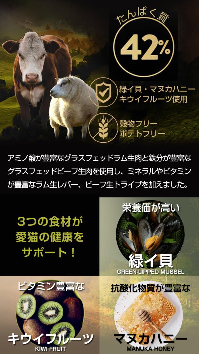 【沖縄以外送料無料】アディクション キャット ワイルドアイランズ ハイランドミーツ グレインフリー 1.8kg＋お試し国産お魚厚削り 15g ラム 羊 牛 ビーフ 穀物不使用 猫 ドライフード キャットフード_3
