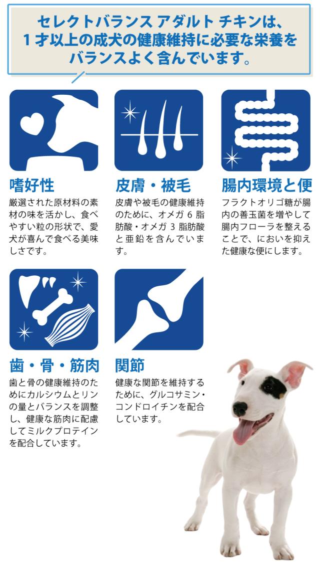 【沖縄以外送料無料】セレクトバランス ドッグフード アダルトチキン 小粒7kg+国産たじま鶏ジャーキー20g 【沖縄以外送料無料】セレクトバランス ドッグフード アダルトチキン 小粒7kg+国産たじま鶏ジャーキー20g