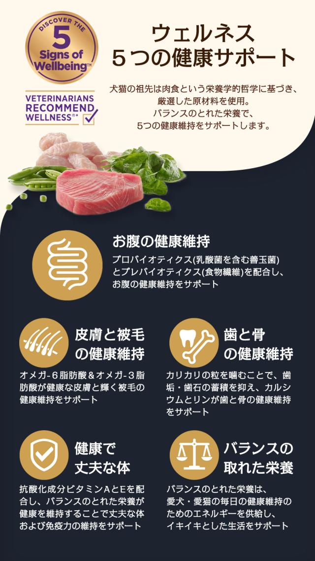 【リニューアル変更済】【沖縄以外送料無料】(選べる2つのおまけ付き)ウェルネスコア 高たんぱく質・穀物不使用 小型犬 成犬用 1〜6歳  骨抜き七面鳥 1.8kg×2袋＋ 犬 小型犬 いぬ 乳酸菌 成犬 アダルト ターキー グレインフリー 食物繊維_2