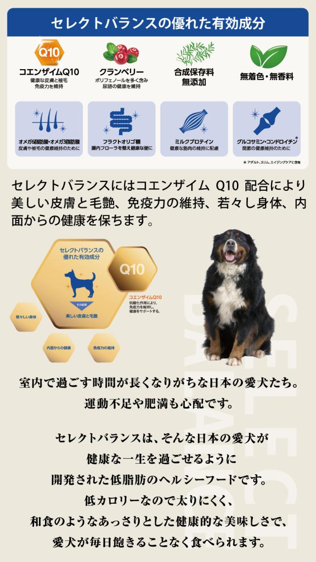 セレクトバランス ラム 小粒7kg エイジングケア ペットフード  ドックフード Amazon.co.jp: セレクトバランス ドッグフード エイジングケア ラム