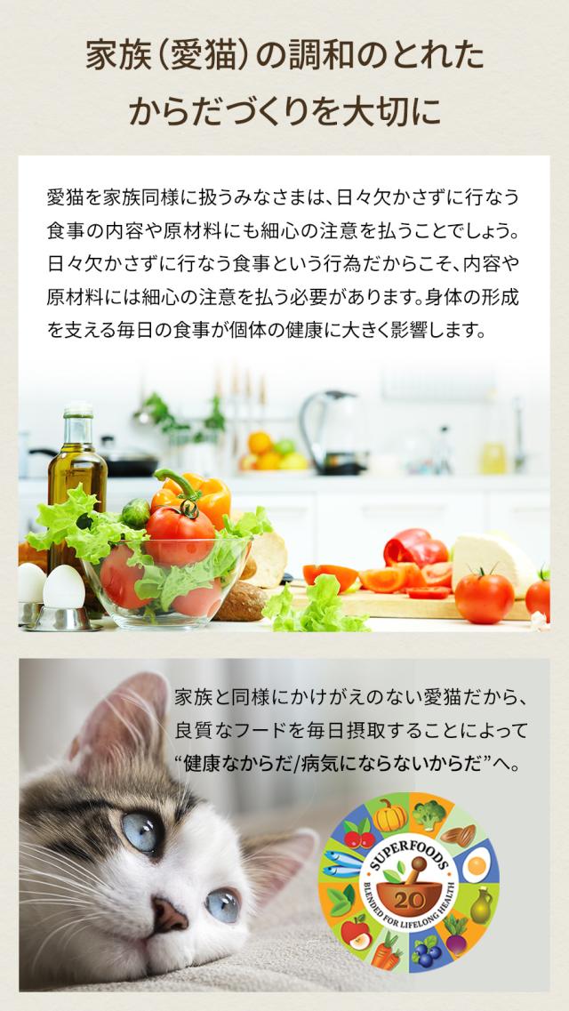 【沖縄以外送料無料】ソリッドゴールド キャット インディゴムーン 6kg+国産たじま鶏ジャーキー20g_5