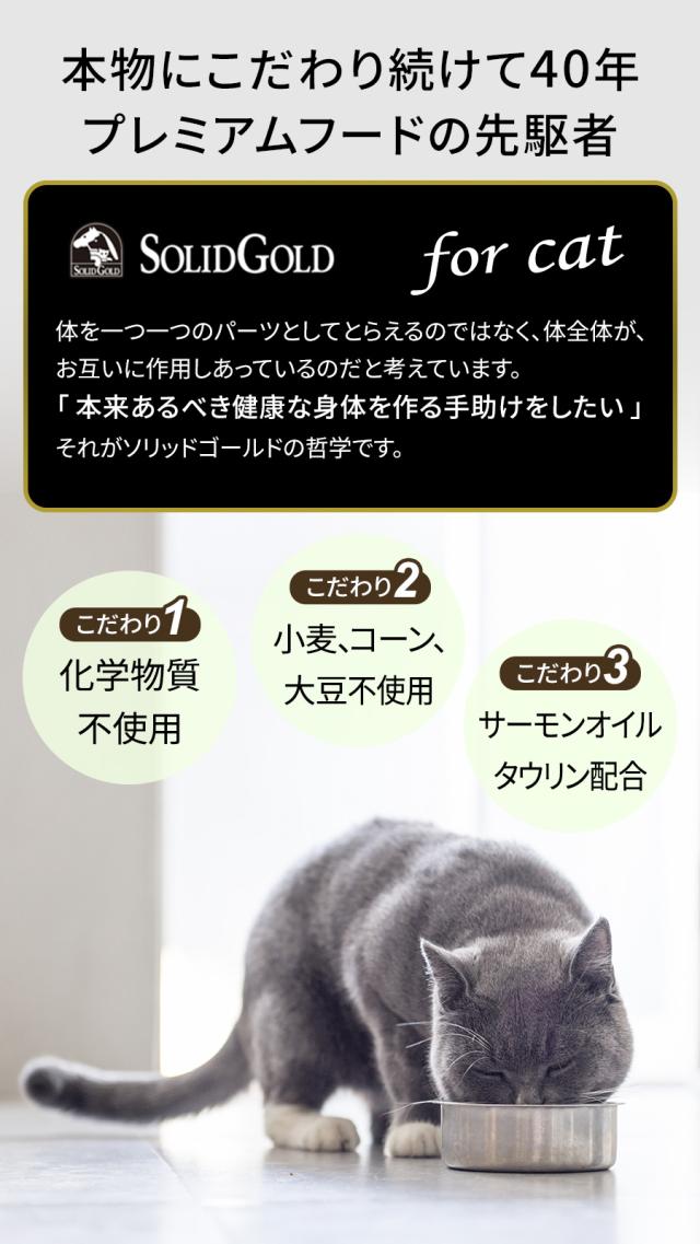 【沖縄以外送料無料】ソリッドゴールド キャット インディゴムーン 6kg+国産たじま鶏ジャーキー20g_6