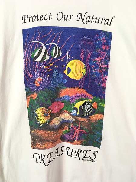 古着 90s USA製 Human-i-Tees おさかな 熱帯魚 アート Tシャツ L 古着