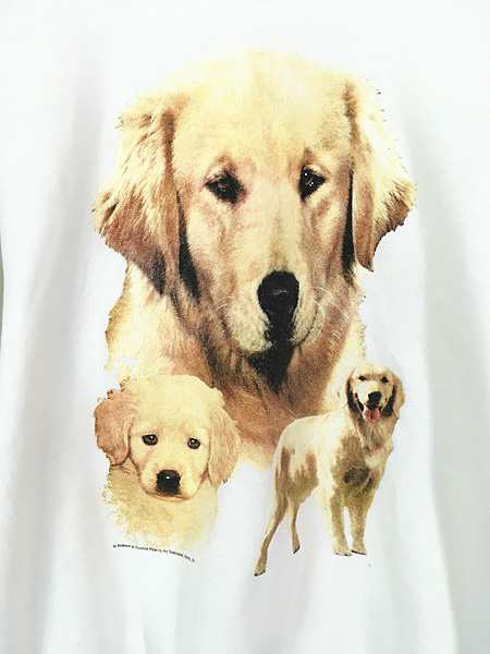 90s USA製 犬T DOG tシャツ Golden Retriever XL