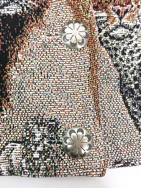 レディース 古着 90s USA製 Painted Pony ライオン チーター シマウマ