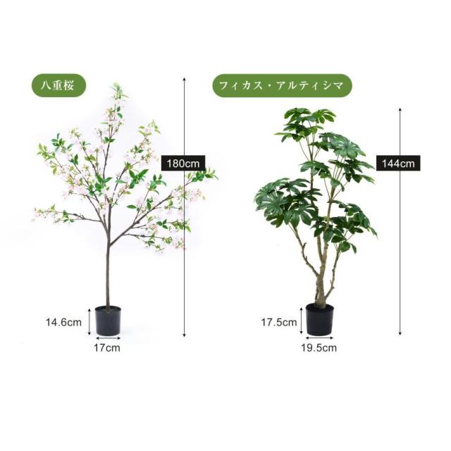 フェイクグリーン 観葉植物 フィカス アルティシマ 144cm フェイク 人工観葉植物 大型 水性塗料 造花 おしゃ