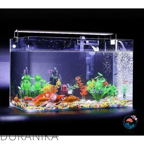 大型水槽 超白ガラス透明 水槽 アクアリウム バブルボウル 苔テラリウム コケリウム 安全 大型 大容量 おすすめ商品 注目アイテム 選ばれる定番_11