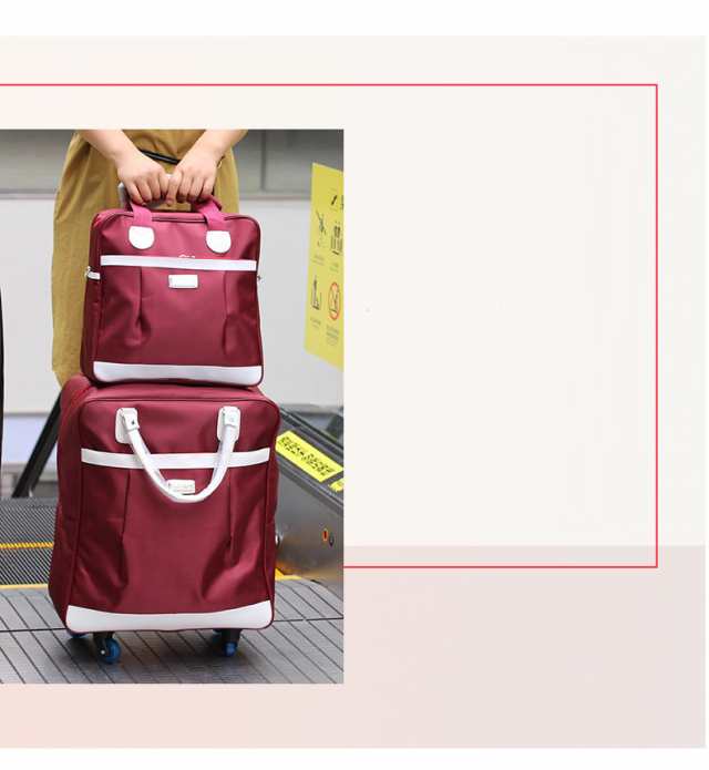 A.L.I ハードキャリーケース mobus モーブス 4〜6泊 65L＋12L MBC-1912